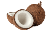 coconut