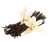 vanilla